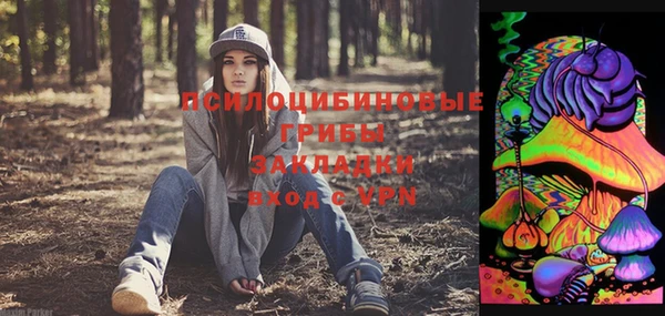 соль курить ск Алзамай