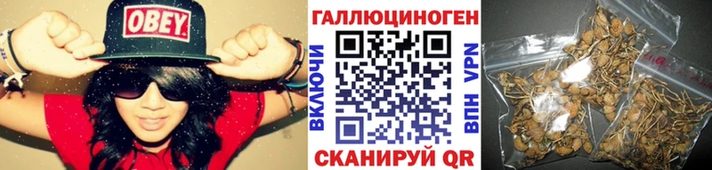 мориарти наркотические препараты  Дедовск  Галлюциногенные грибы мухоморы  что такое  