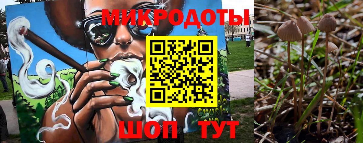Псилоцибиновые грибы MAGIC MUSHROOMS Дедовск