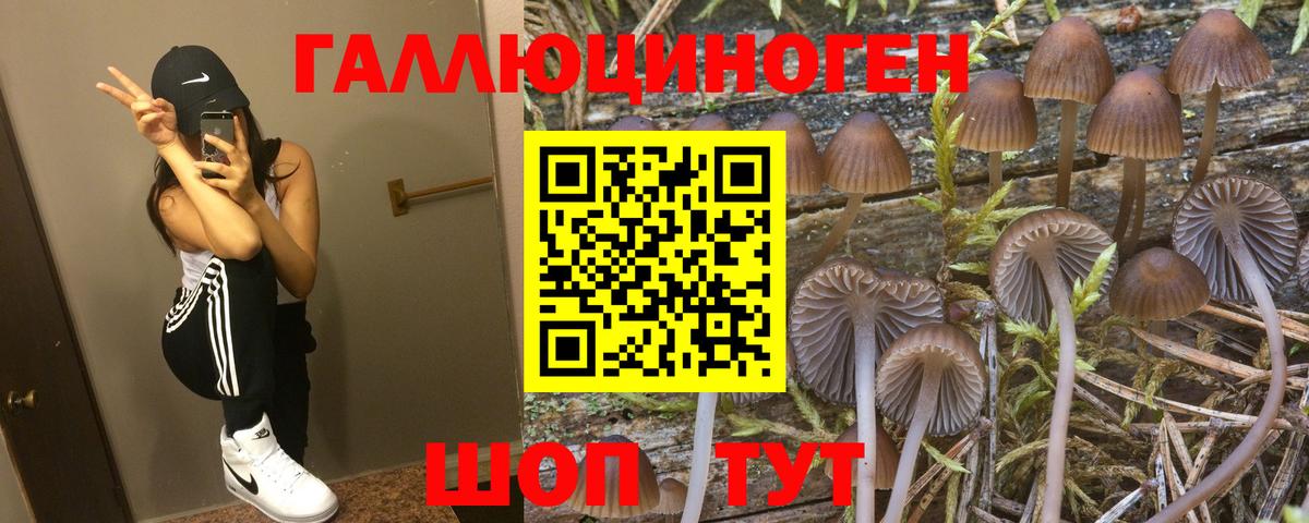 что такое   Псилоцибиновые грибы MAGIC MUSHROOMS  Вход с VPN  Дедовск 